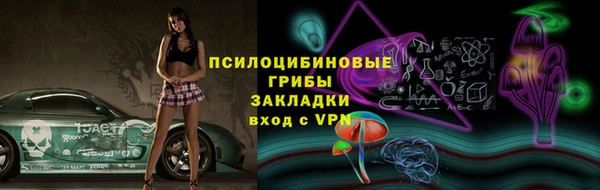 прущий лед Пестово