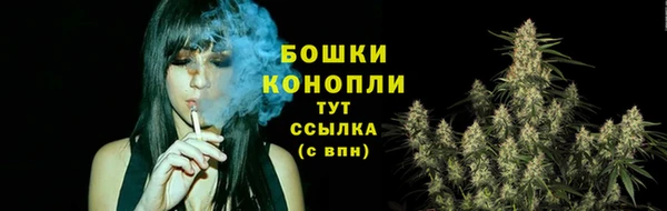 mdpv Переславль-Залесский