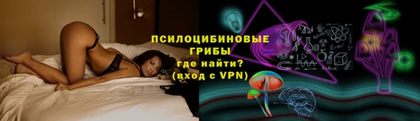 mdpv Переславль-Залесский