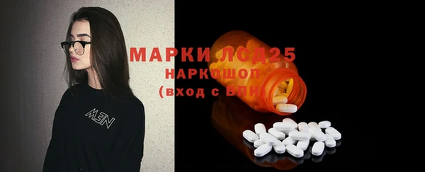 прущий лед Пестово