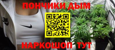 Альфа ПВП Обь