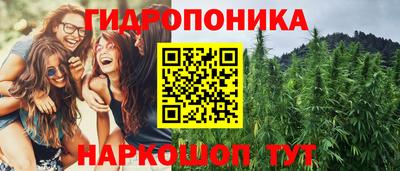 индика Абинск