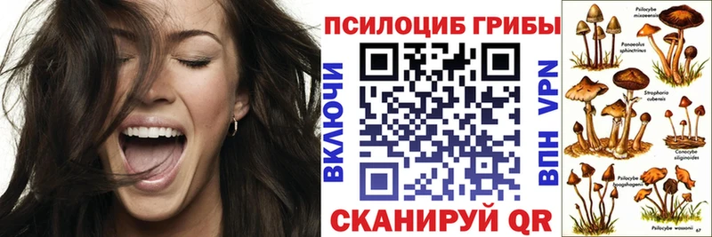 Псилоцибиновые грибы GOLDEN TEACHER  купить наркотик  Приморско-Ахтарск 