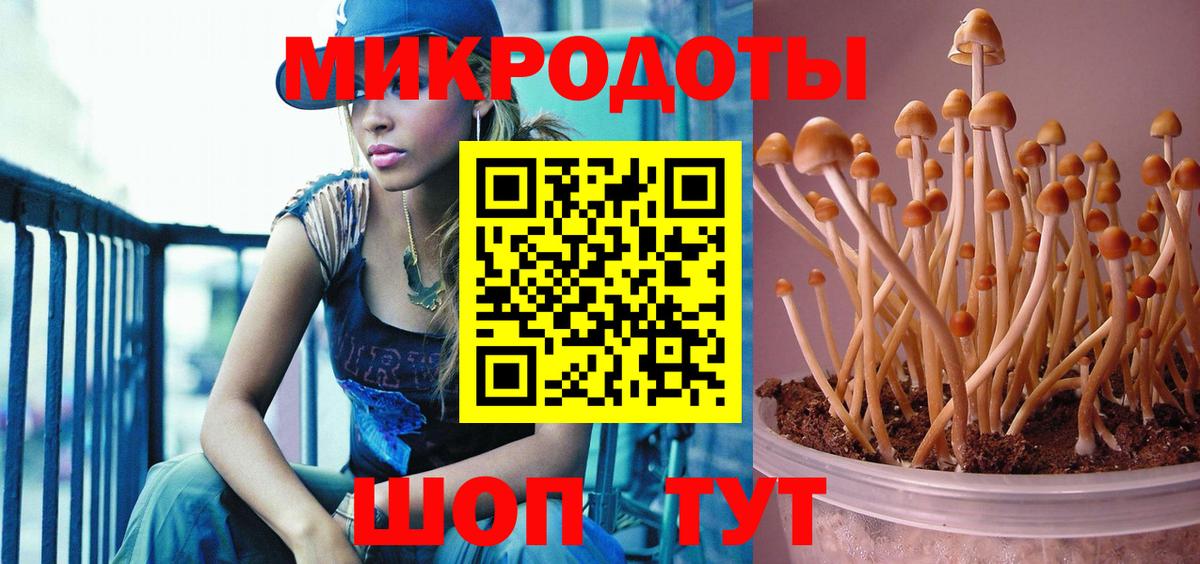 ГАШИШ Приморско-Ахтарск