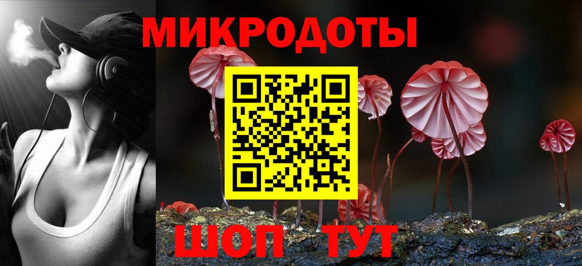 Псилоцибиновые грибы мицелий  дарнет шоп  Приморско-Ахтарск  Вход с VPN 