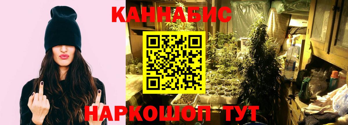 Бошки марихуана White Widow Приморско-Ахтарск
